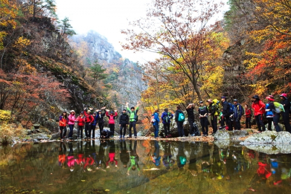 경북 청송군 주왕산에서 단풍놀이를 즐기는 등산객들 모습.