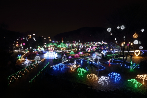 신구대학교식물원이 겨울 2019 꽃빛축제를 개최한다.