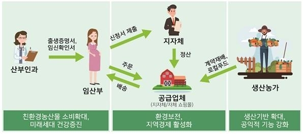 임산부 친환경농산물 지원사업 절차도, 경북도 제공