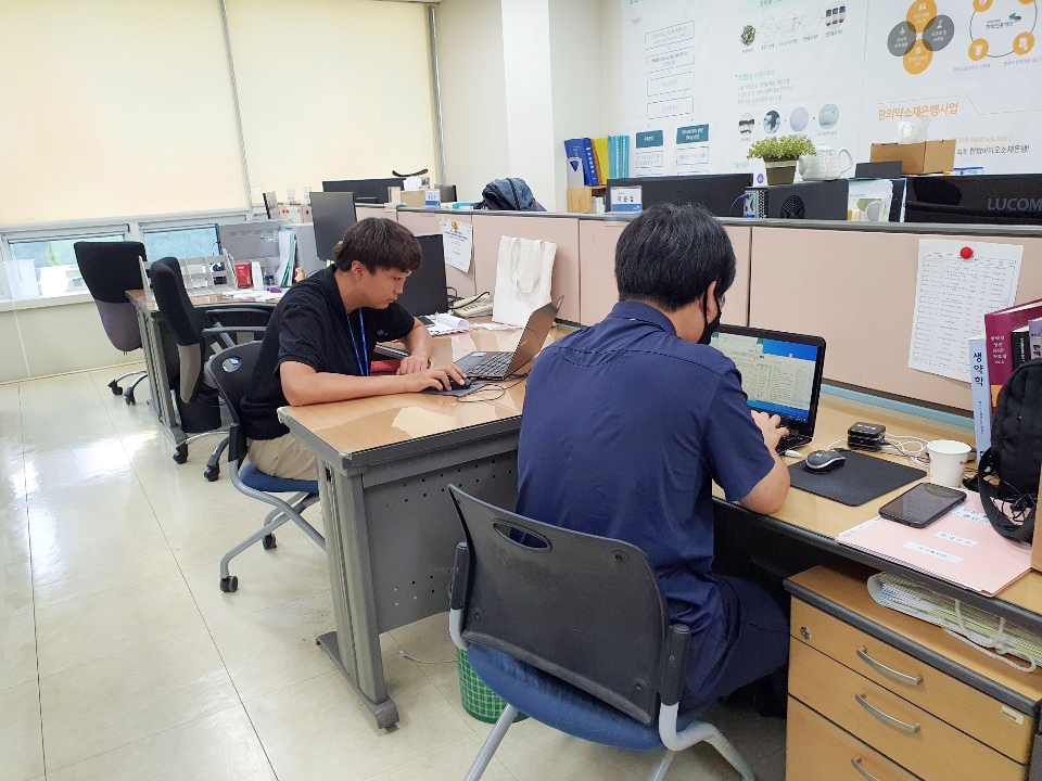 한국한의약진흥원에서 인턴으로 일하고 있는 대구대 K-PACE센터 학생의 모습. 대구대 제공