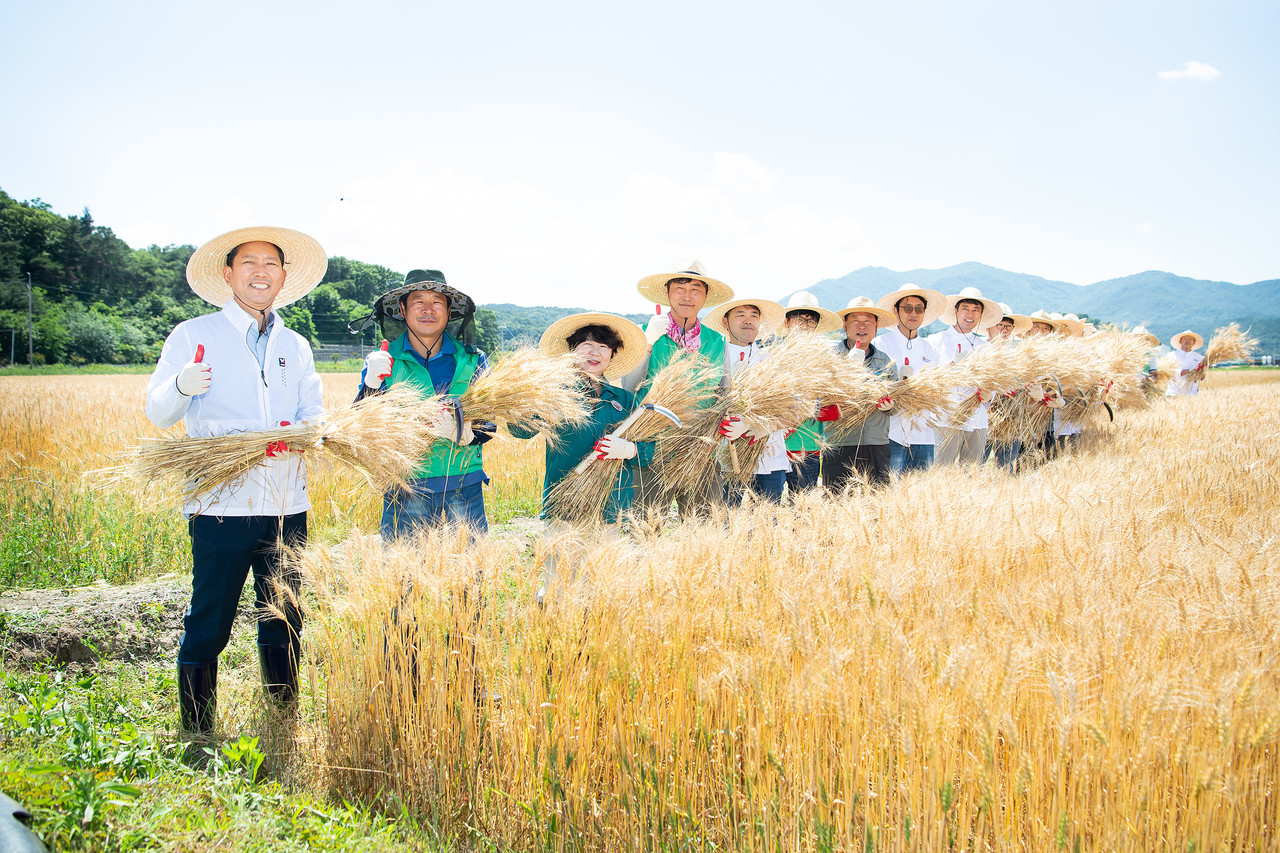 구미시가 우리밀 산업을 지역 대표 농식품 산업으로 육성한다. (구미시 제공)