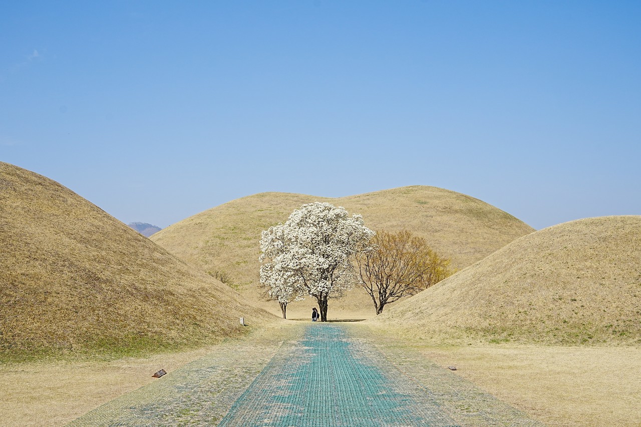 대릉원. 경주시 제공